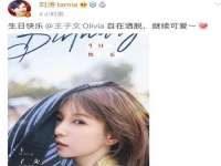 上海甄予网络科技有限公司