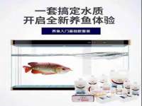 上海甄予网络科技有限公司