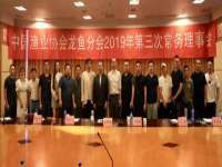 上海甄予网络科技有限公司