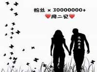 上海甄予网络科技有限公司