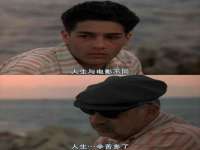 上海甄予网络科技有限公司