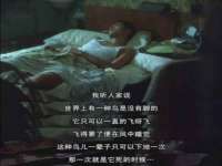 上海甄予网络科技有限公司