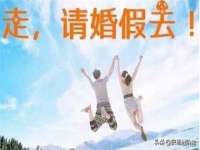 上海甄予网络科技有限公司
