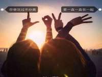 上海甄予网络科技有限公司