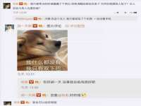 上海甄予网络科技有限公司