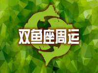 上海甄予网络科技有限公司