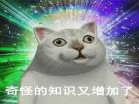 上海甄予网络科技有限公司