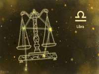 上海甄予网络科技有限公司
