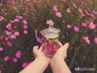 上海甄予网络科技有限公司