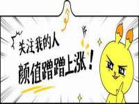 上海甄予网络科技有限公司