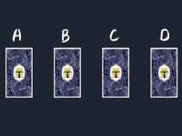 上海甄予网络科技有限公司