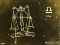 上海甄予网络科技有限公司