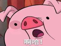 上海甄予网络科技有限公司