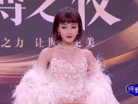 上海甄予网络科技有限公司
