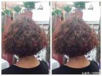 上海甄予网络科技有限公司