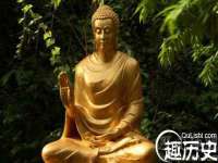 上海甄予网络科技有限公司