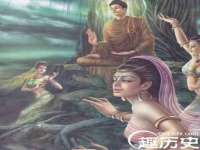 上海甄予网络科技有限公司