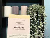 上海甄予网络科技有限公司